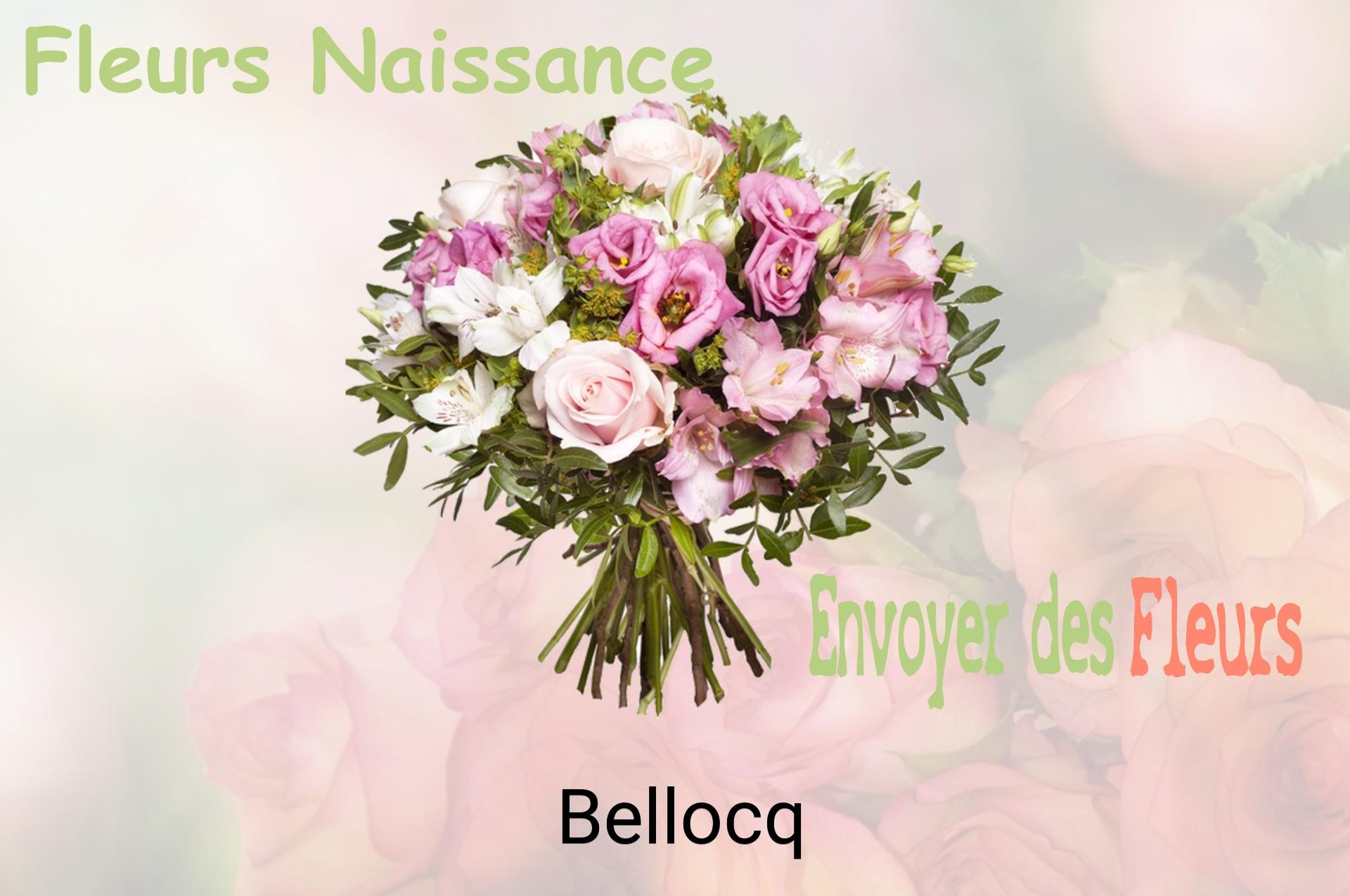 Bouquet de fleurs de naissance livré à Bellocq